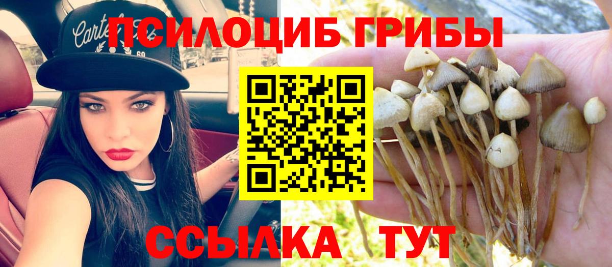 Галлюциногенные грибы мухоморы Фрязино