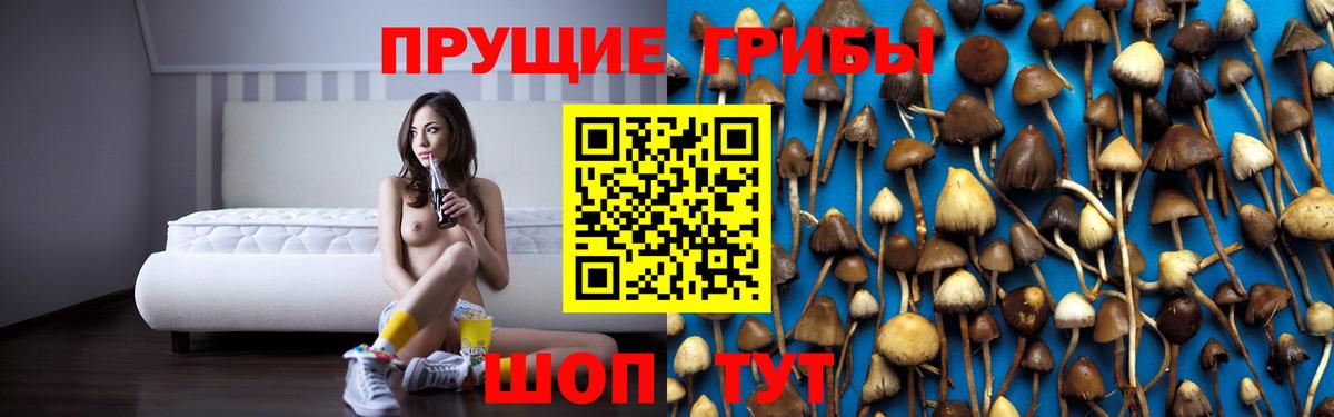 Фрязино  Галлюциногенные грибы GOLDEN TEACHER  Псилоцибиновые грибы Psilocybe  цена   Вход с VPN 